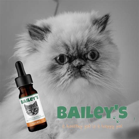 Baileys vet - Veteran feeds are designed to provide readily digestible, non-heating calories so should promote a little more condition than a high fibre, low energy feed and help to give the older horse just that little extra he needs to stay looking and feeling good. However, to promote serious weight gain, a conditioning feed, like Top Line Conditioning ...